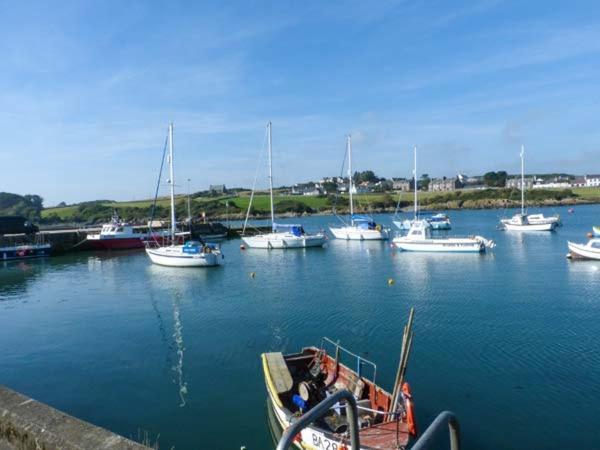 The Clamshell Apartamento Isle of Whithorn Exterior foto